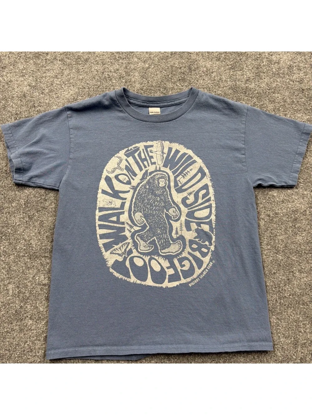Boys Blue T-Shirt 